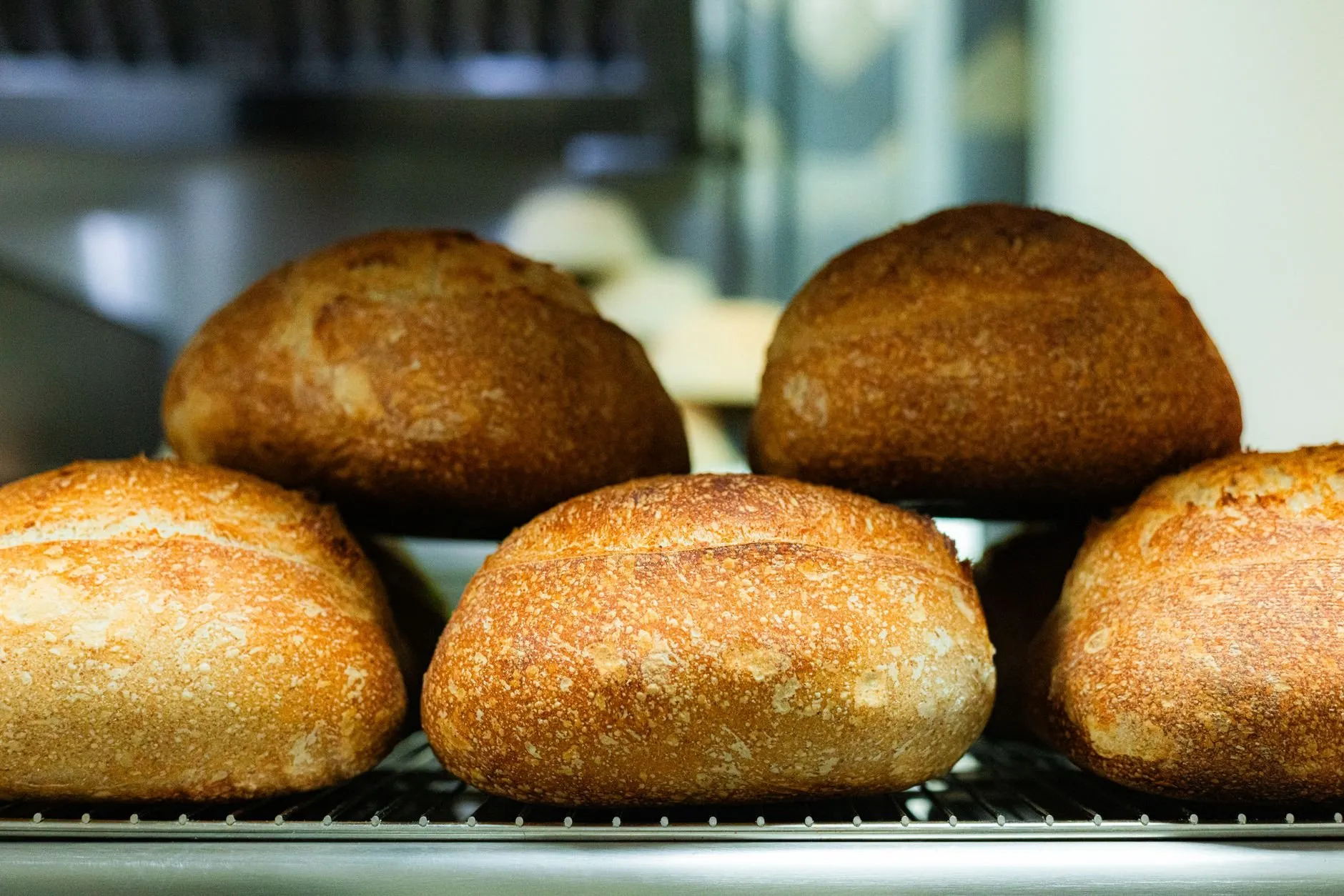 Four round Calder Country sourdough loaves cooling on a wire rack in the bakehouse