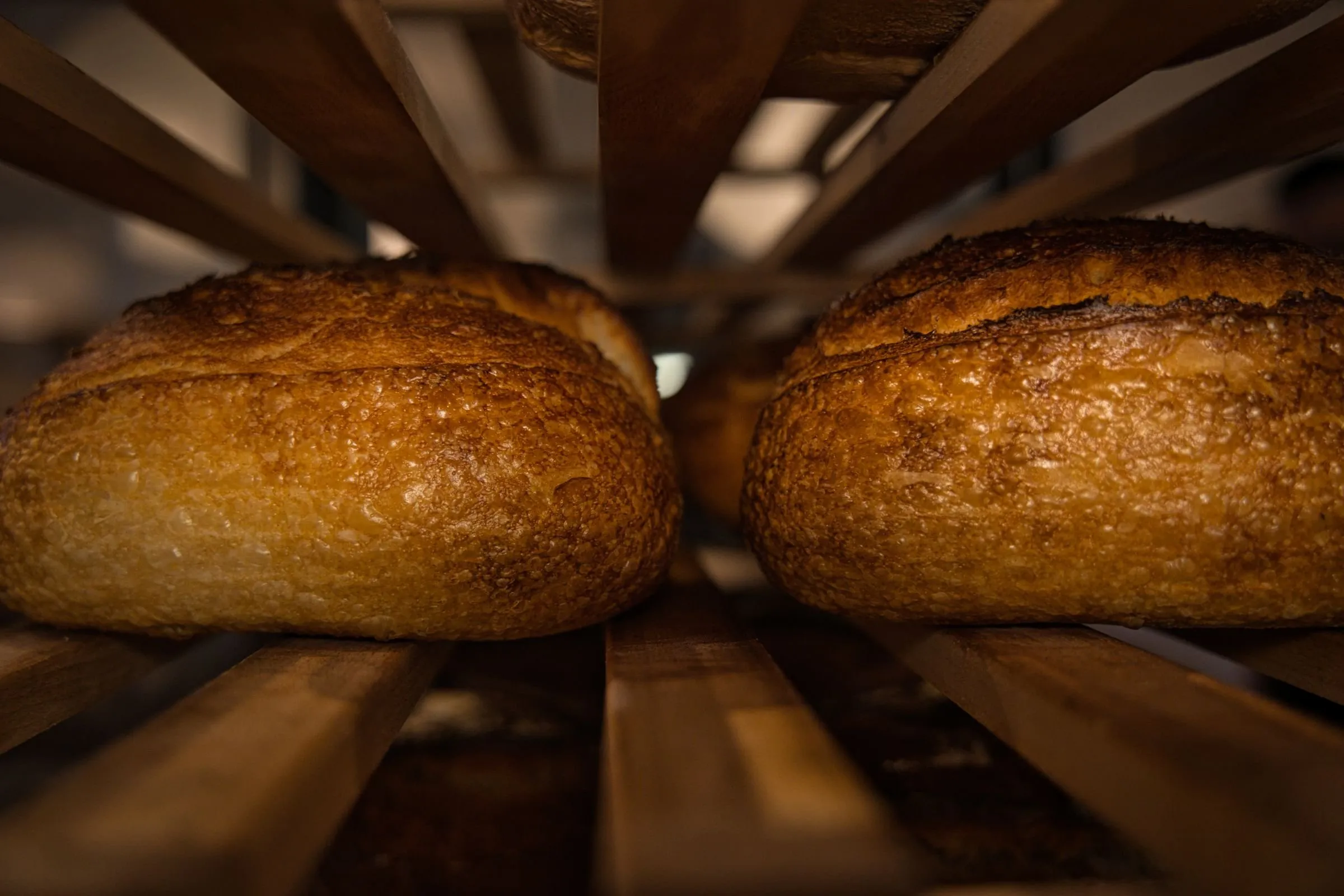 Two dark-crusted sourdough loaves resting on a wooden cooling rack