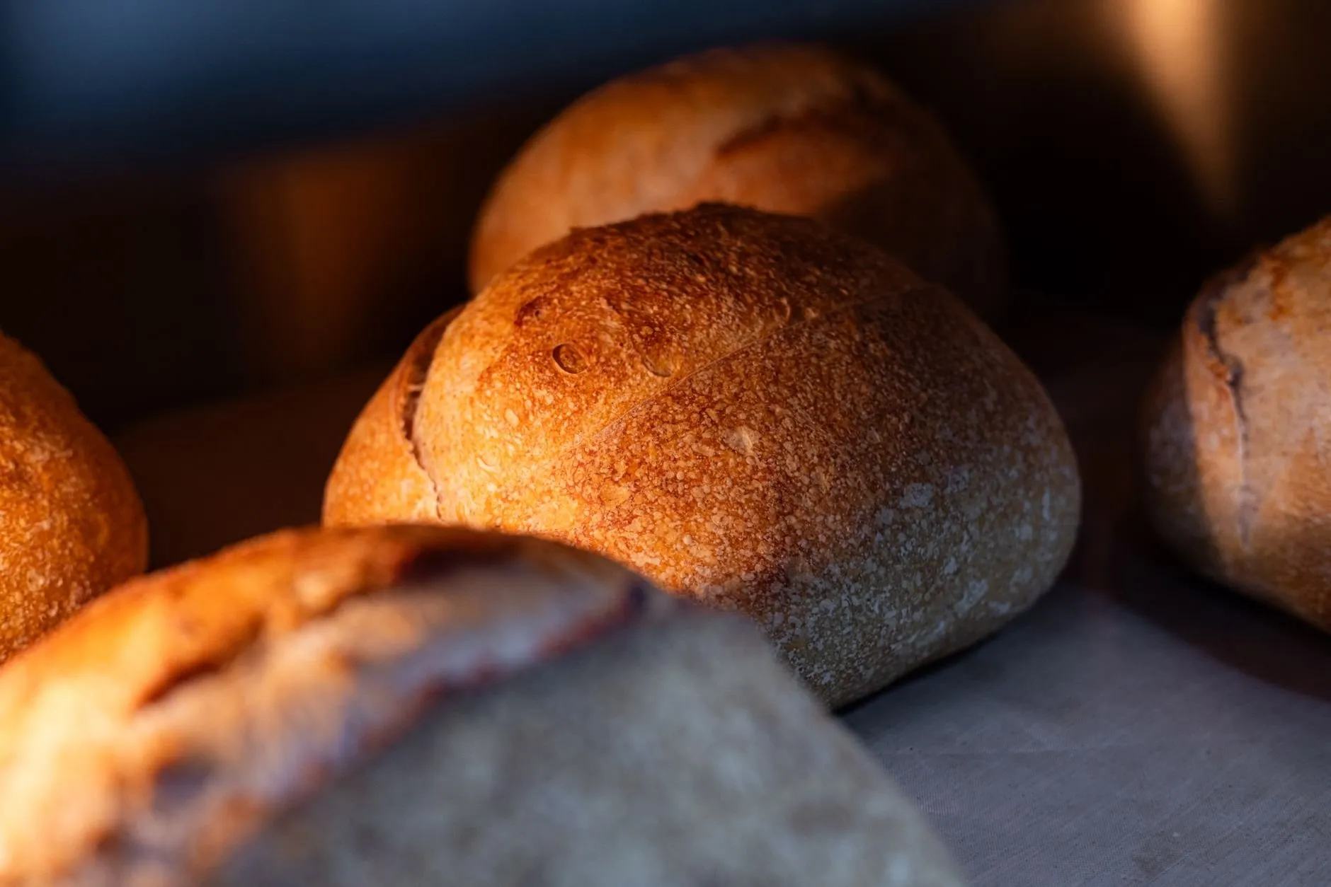 Sourdough loaves glowing gold under the lights of the deck oven
