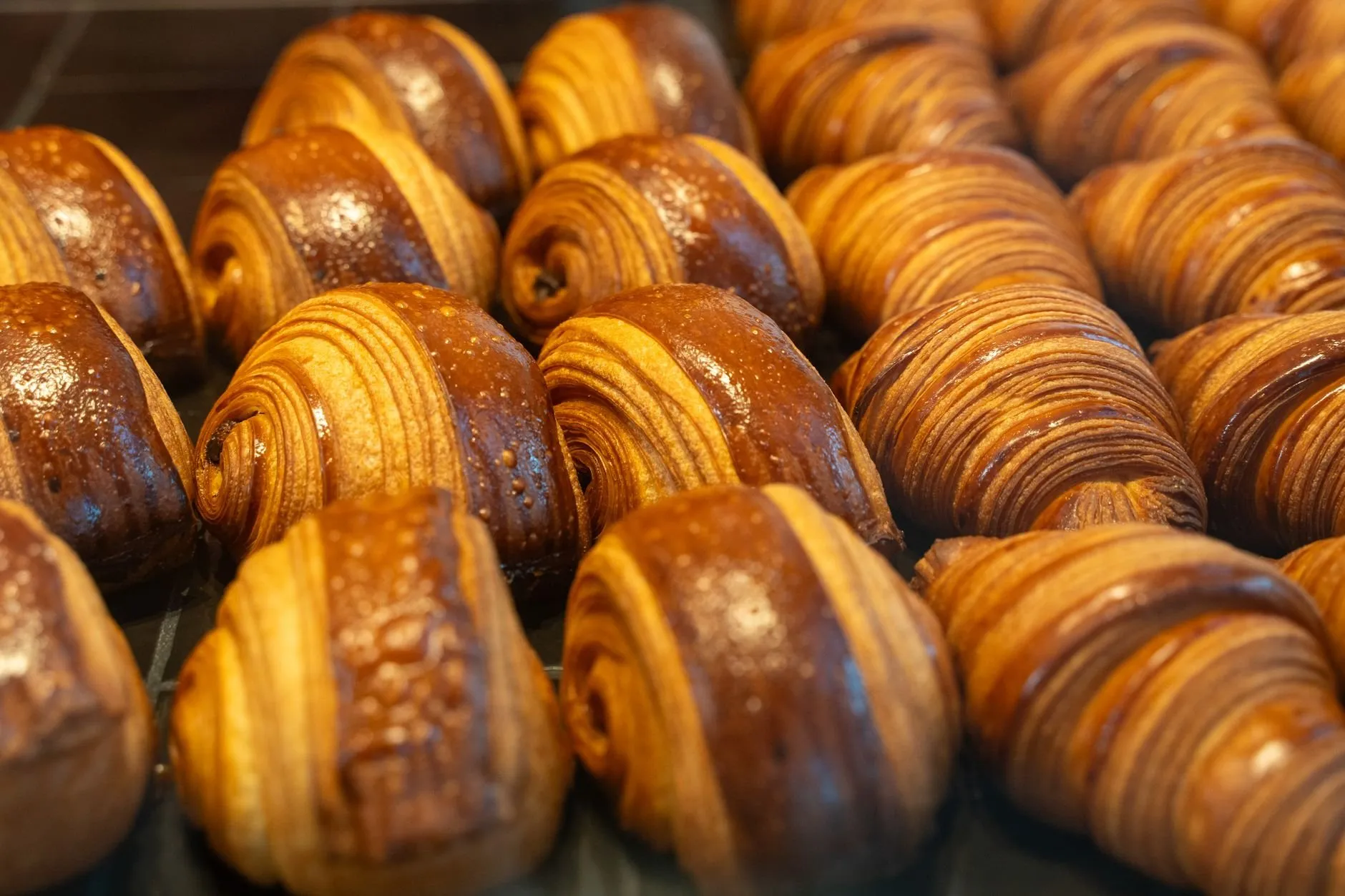 Rows of glazed pains au chocolat and croissants with deep amber laminated stripes