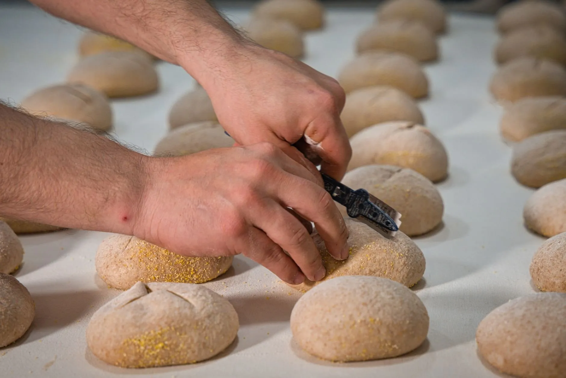 Every loaf is shaped and scored by hand at 4am, then loaded straight into the deck oven.